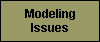 Modeling Issues