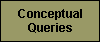 Conceptual Queries